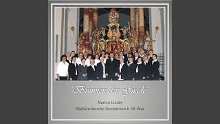 Marienlied Aus Tirol