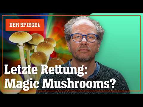 Helfen Magic Mushrooms gegen Depressionen? – Shortcut | DER SPIEGEL
