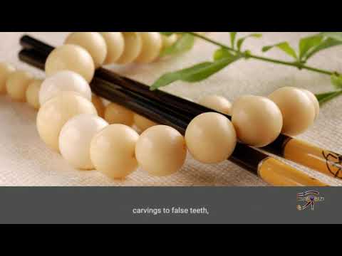 Ivory A symbol of incorruptibility purity rank and protection.