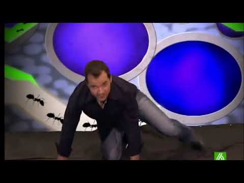 PARODIA A EL HORMIGUERO 2