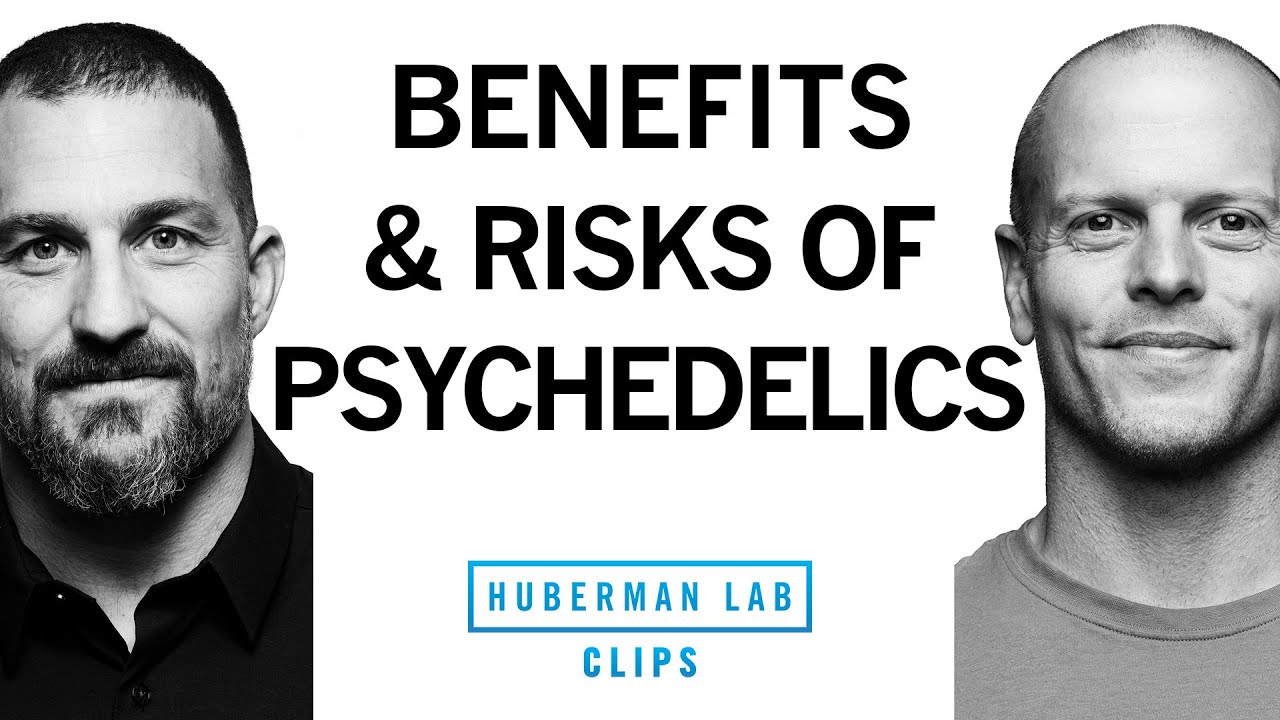 Personal Experience, Benefits & Risks of Psychedelics | Tim Ferriss & Dr. Andrew Huberman