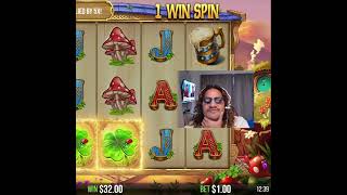 Slot Game Big Wins! Watch This Epic Streamer Bonus Pick!