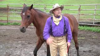 preview picture of video 'Fear Vs. Alpha - How to establish a working relationship with your horse.'