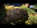 UNCHARTED: The Lost Legacy – PS4 Story Trailer | E3 2017