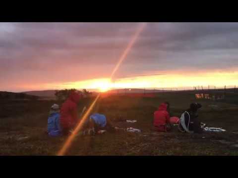 Renkalvs märkning i Tåssåsens sameby