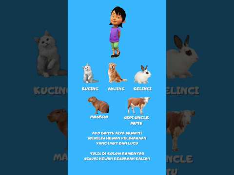 bantu aiya susanti memilih hewan peliharaan | kucing | masbro