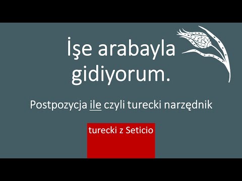 23. Postposition ile, i.e. instrumental (instrumentalis), means of transport Turkish from Seticio...