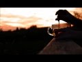 Eminem - Business (Matoma Remix) 