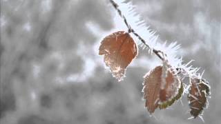 The Pineapple Thief - It's Just You And Me