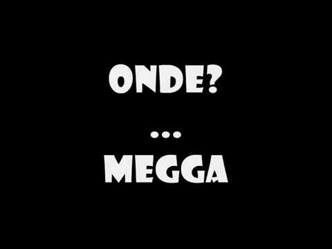 Vicentina Flash'n Black 2009