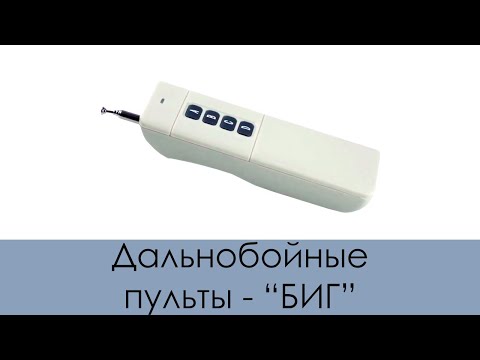 Пульты дальнобойные "БИГ" DoorHan Alutech BFT Came и многие другие системы делаем на этой платформе