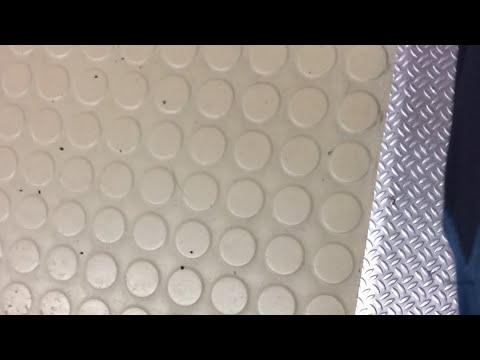 KuPS C15 Haaste-KuPS B2/B3 1.12.2018. Harjoituspeli - toinen puoliaika