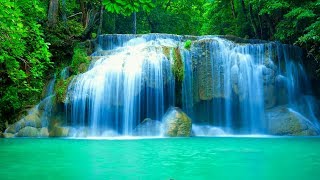 🔴Peaceful Relaxing Music LIVE 24/7: Music for Deep Sleep. Music for Spa and Massage. Mindful Music