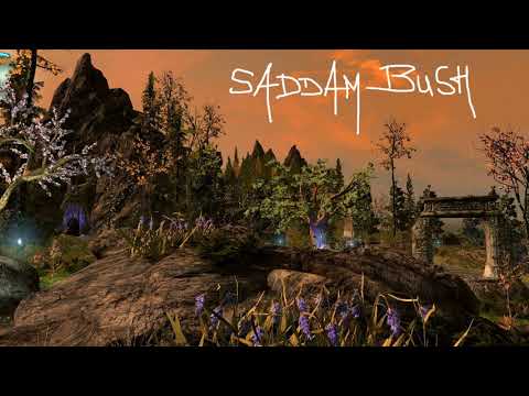 Saddam Bush - Traumwelt