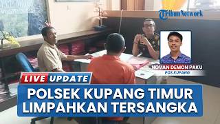 Janji Manis Pembeli Sapi di Kupang Timur Berujung Tersangka, Kasus Penipuan Kini Masuk Babak Baru