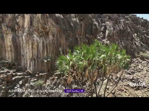 فيديو تعليمي