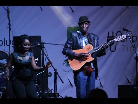 Unplugged Zimbabwe - August Highlights