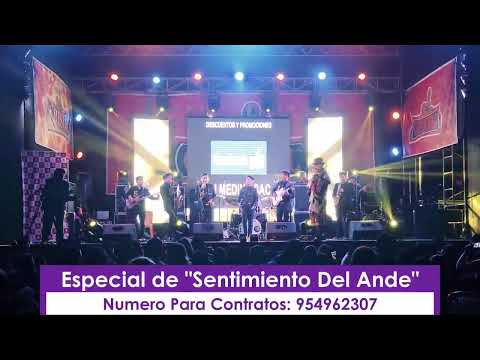 Especial "Luis Orian"