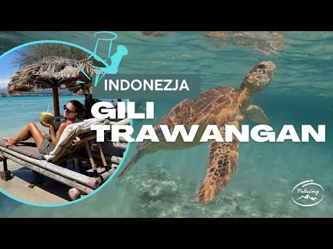 Rajska wyspa bez aut, żółwie i lokalne jedzenie | Gili Trawangan #podróże #giliislands #indonezja