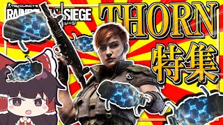 【ゆっくり実況】D部隊が行く！レインボーシックス シージ #47【R6S】