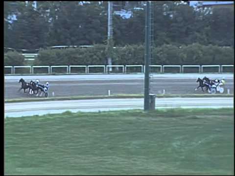 Trotto 04/06/2015 - 2° prova di qualifica