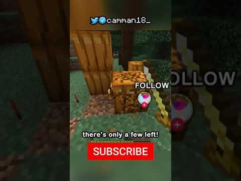 Minecraft, But Block Drops Are Random AND I Have Half A Heart...