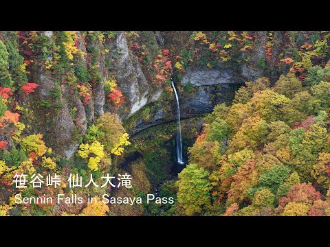 【4K】🍁✨笹谷峠・仙人大滝の紅葉空撮 / Autumn Colors at Sennin Great Falls – Sasaya Pass, Japan
