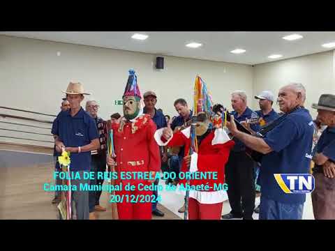 Folia de reis de cedro do Abaeté 