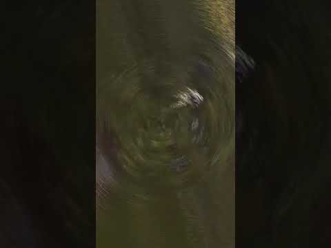 Let the body set the flow #foryou #super #stunt #awesome #trending #viralvideo