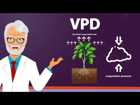 What is Vapour Pressure Deficit? (VPD)