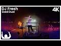 SYNTHONY - DJ Fresh 'Gold Dust' (Live at The Auckland Domain 2024) | ProShot 4K