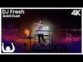 SYNTHONY DJ Fresh Gold Dust Live At The Auckland Domain 2024 ProShot 4K