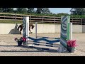 Splendide jument de 6 ans, sBs, +-1m62