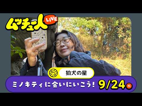 ムッチュー人LIVE｜狛犬の星のミノキティに会いにいこう！