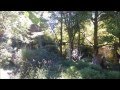 WoodLand Park Zoo ~ komodo dragons, lions ...