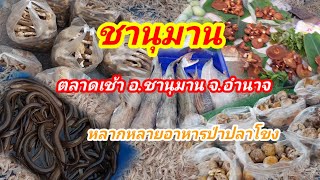 ตลาดเช้าชานุมาน#อำเภอชานุมาน