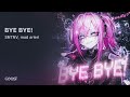 SNTNV, mad arieri - BYE BYE!