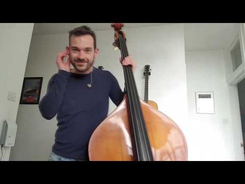 Barenaked Ladies - Some Fantastic (double bass cover - Henry Willard)