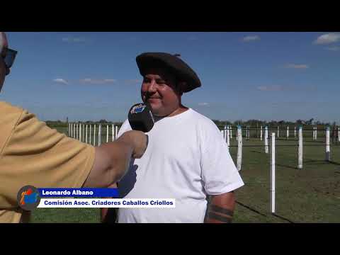 CABALLOS CRIOLLOS SE MUESTRAN EN LA CARLOTA 11 3 26