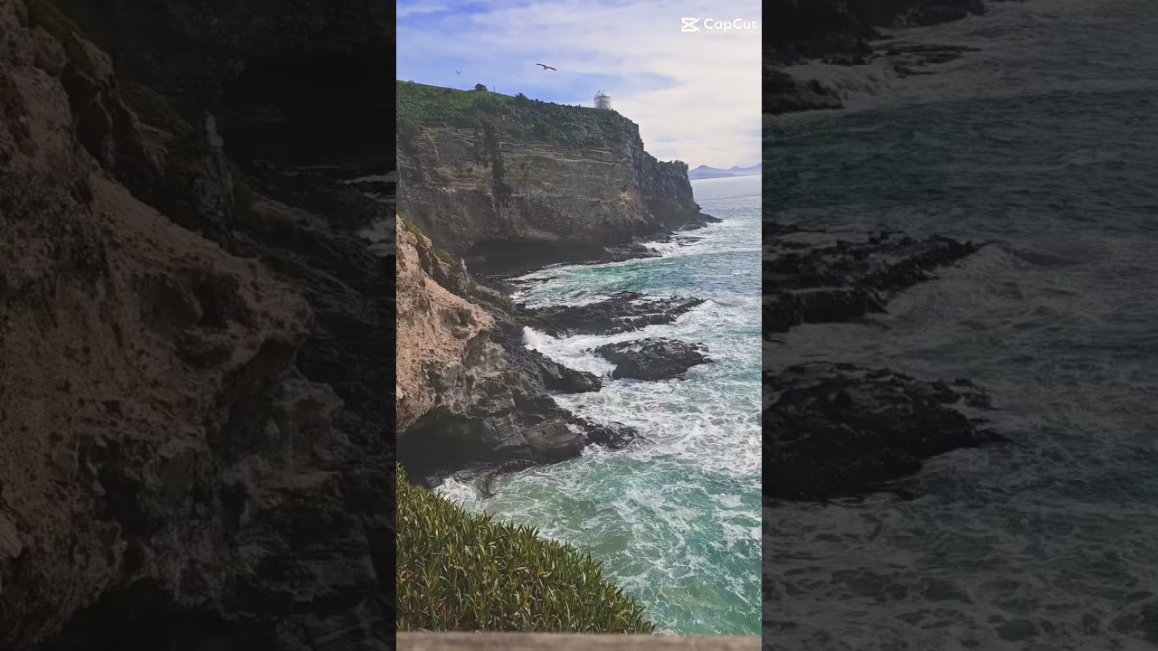 YouTube Short thumbnail