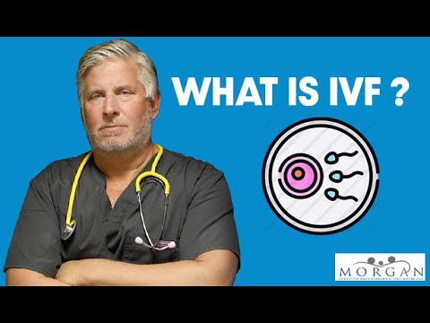 What is IVF?