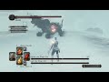 Dark Souls 2 - Lud and Zallen, the King's Pets (NG+2)
