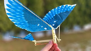 Download lagu How to Make a Flying Bird (Ornithopter) - Amazing Toy mp3 Download lagu How to Make a Flying Bird (Ornithopter) - Amazing Toy mp3
