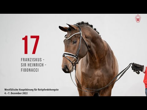 Westfälische Hauptkörung 2022 Reitpferde: Kat.Nr. 17  Franziskus  -  Sir Heinrich  -  Fibonacci