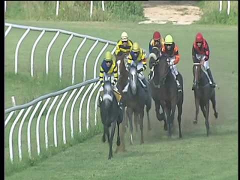 Galoppo 25/05/2017 - 5ª corsa