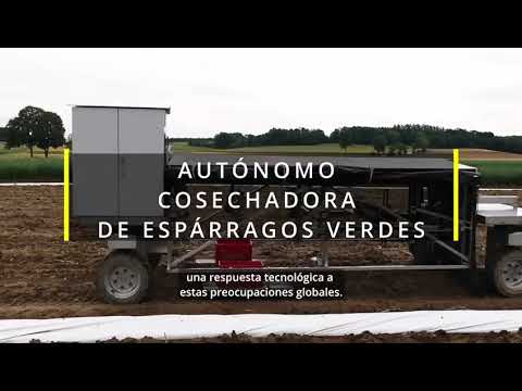 Strauss Robot harvester green asparagus