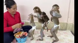 Download lagu 4 Siblings Stand Up Very Mannerly Waiting Mom To Dressing Up For Them Very Sweet, mp3