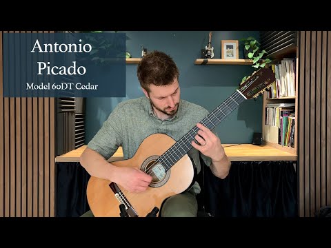 Antonio Picado Model 60 DT ‘double top’, cedar, Indian rosewood, immaculate image 14