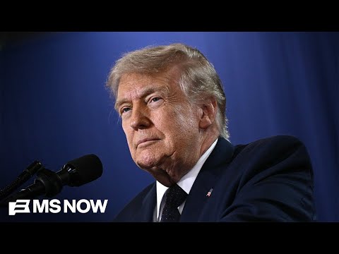 'He doesn't think he's going anywhere': Top Dem Senator WARNS of Trump's plot to hold onto power