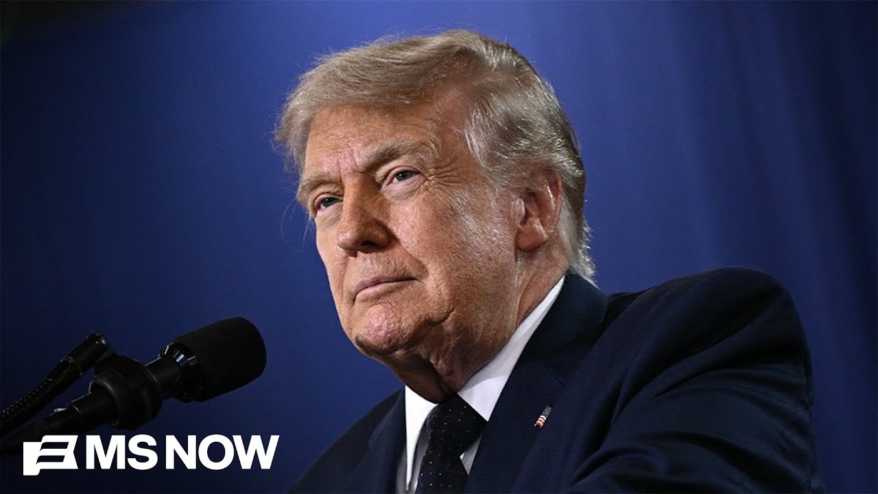 'He doesn't think he's going anywhere': Top Dem Senator WARNS of Trump's plot to hold onto power